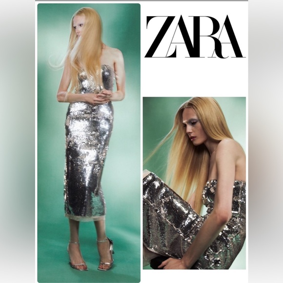 Zara Dresses & Skirts - Zara Sequin appliqué Strapless Midi Dress Organza Tulle hem Silver Size XS NWT
